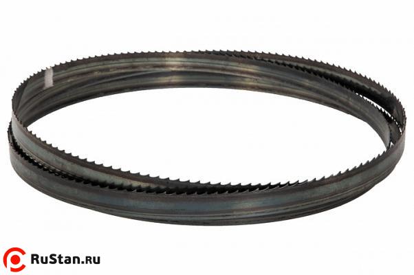 Полотно фото №1 F20.8.3810-3 фото №1